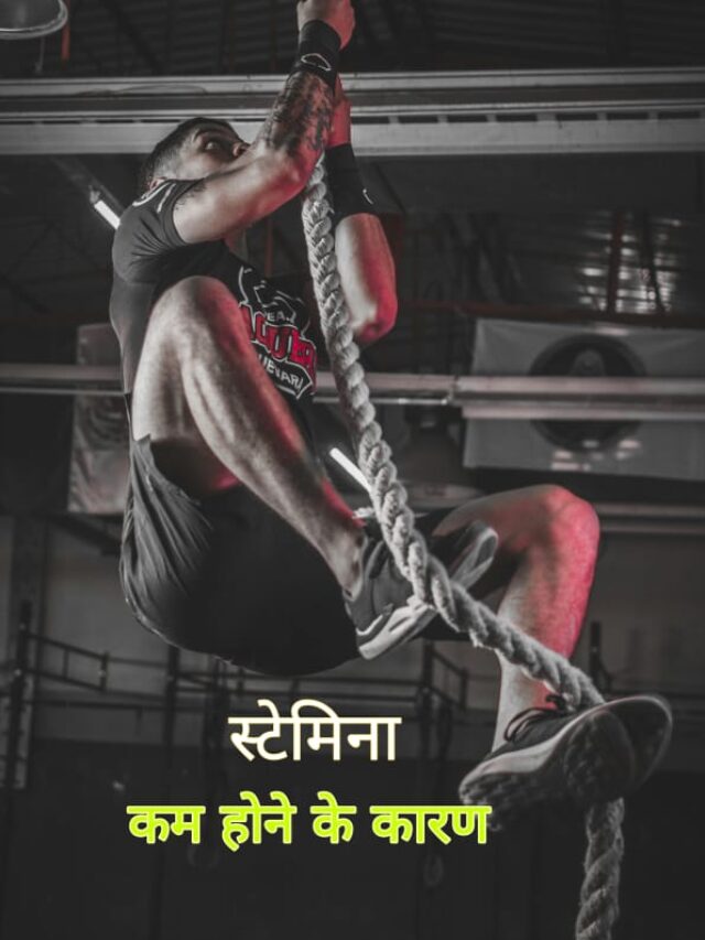 WhatsApp Image 2024-11-11 at 11.19.28 PM