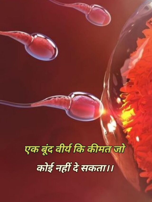 WhatsApp Image 2024-11-12 at 6.30.26 PM