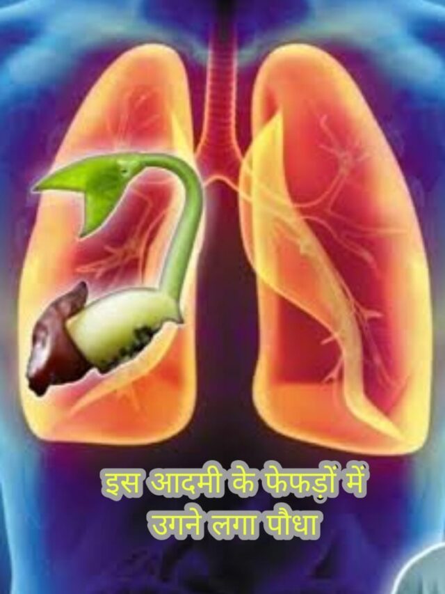 WhatsApp Image 2024-11-18 at 12.19.05 PM