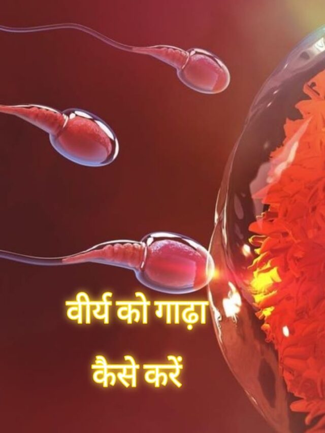 WhatsApp Image 2024-12-10 at 10.43.51 PM