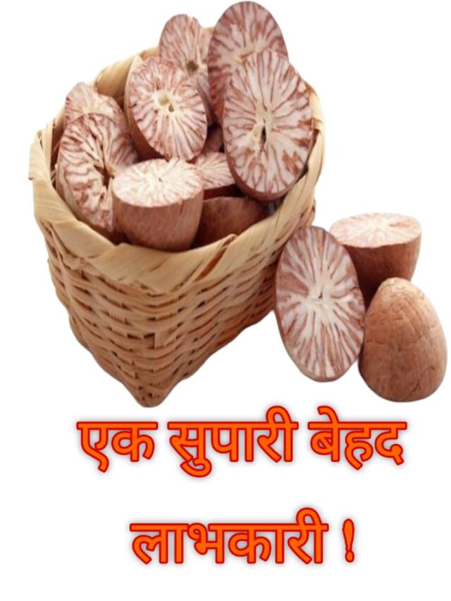 WhatsApp Image 2024-12-17 at 8.42.44 AM