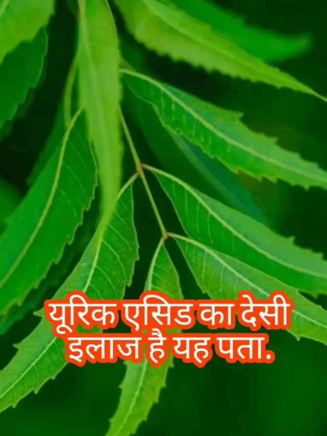 WhatsApp Image 2024-12-30 at 10.01.24 AM