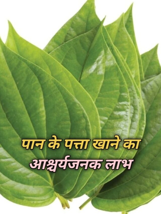 WhatsApp Image 2025-01-08 at 1.57.58 PM