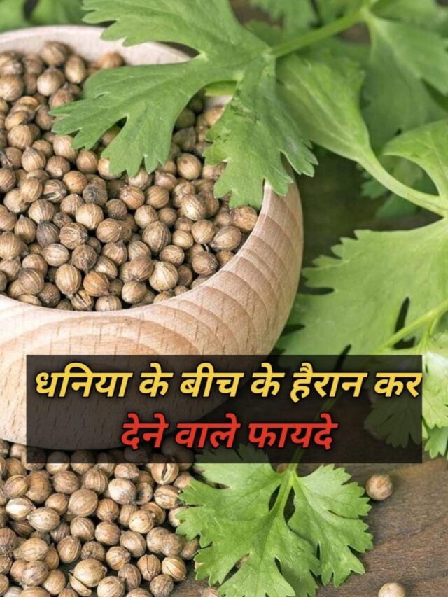 WhatsApp Image 2025-01-09 at 8.29.35 AM