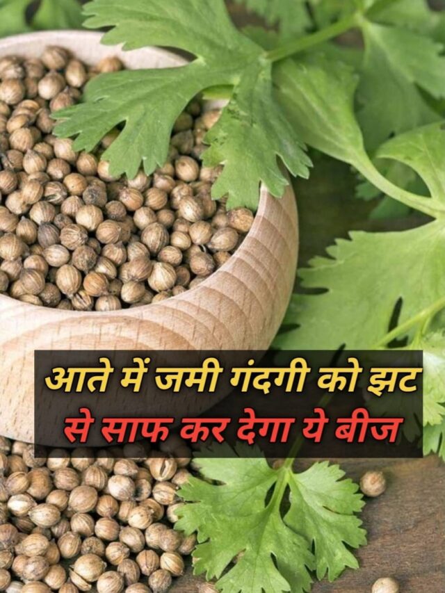 WhatsApp Image 2025-01-27 at 8.24.44 AM