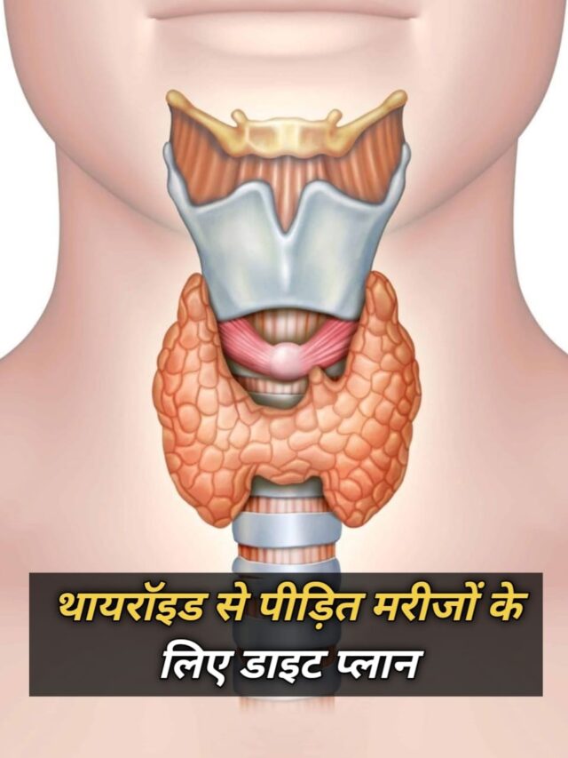 WhatsApp Image 2025-02-04 at 12.40.42 PM