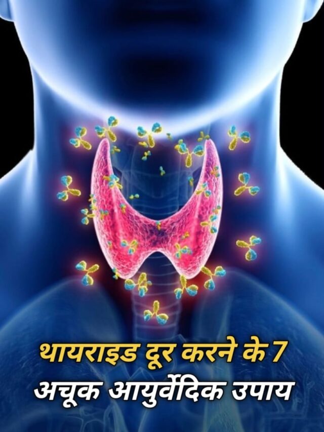 WhatsApp Image 2025-02-05 at 9.17.19 AM