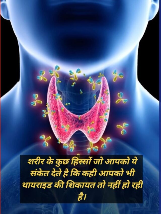 WhatsApp Image 2025-04-06 at 1.46.17 PM