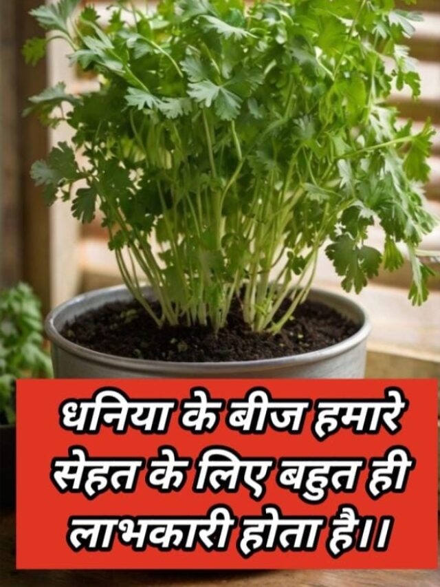 coriander-seeds-benefits-and-three-different-ways-to-consume-them-for-good-health