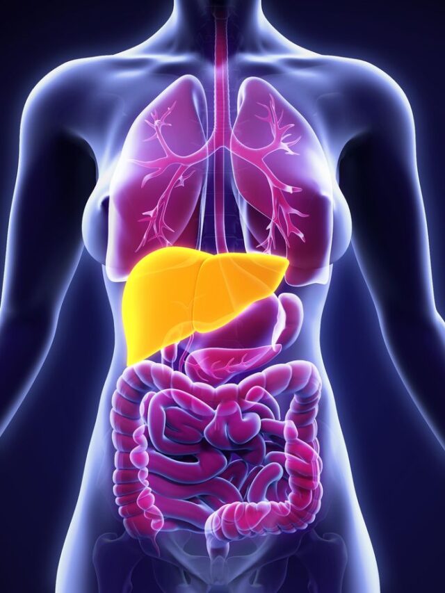लीवर में अत्यधिक चिकनाई का बनाना ही फैटी लीवर कहलाता है।fatty-liver